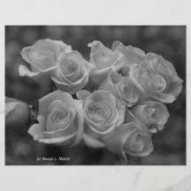 Roses noirs et blancs sur le fond repéré prospectus personnalisés