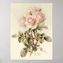 Roses romantiques victoriens vintages posters
