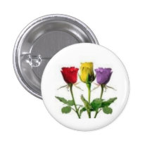 ROSES TRICOLOR BOTONES