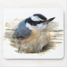 Rotbrüstiger Kleiber Mousepad