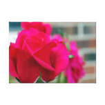 Rote Rose Galerie Falt Leinwand