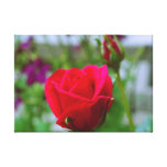 Rote Rose Galerie Faltleinwand