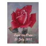 Rote Rose Save the Date Postkarte