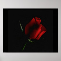 Rote Rose Schwarz-fügen an Wörter hinzu, wenn Sie 
