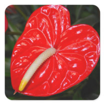 Roter Blütenschweif
