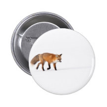 Roter Fox Anstecknadelbutton