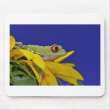 roter mit Augen Baumfrosch Mousepad