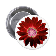 Rotes Gänseblümchen Buttons