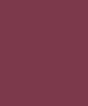 Rouge de base de Bordeaux de T-shirt d'encolure ra