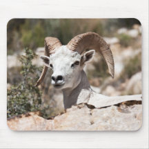 Ruhiges Tier Mousepads