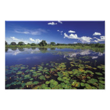 S.A., Brasilien, Wasserstraßen in Pantanal Photo Drucke