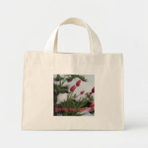 Sac de jour : Le ressort a jailli !