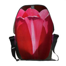 Sac de tulipe besaces