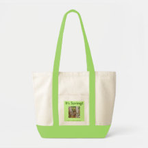 Sac tôt de vert de ressort