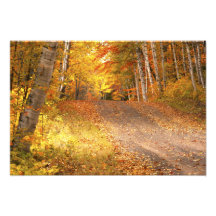 Saison de feuillage d'automne maximale dans l'U.P. Photographies