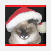 Sankt-Katze Magnete