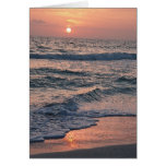 Sarasota-Sonnenuntergang Karten