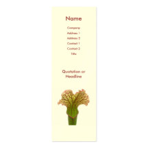 Sarracenia-Krug-Pflanze Visitenkarten Vorlage