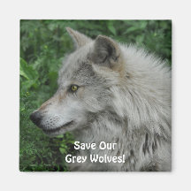 SAUVEZ NOTRE aimant de photo de faune de LOUPS GRI