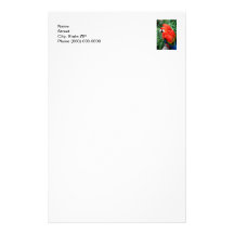 Scalet Macaw Bedrucktes Büropapier