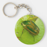 Scarabée de juin vert Keychain Porte-clef