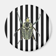 Scarabée noir et blanc sur la rayure magnets pour réfrigérateur
