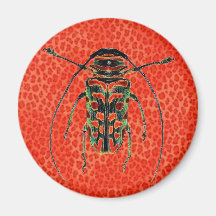 Scarabée orange et noir sur le léopard orange aimants