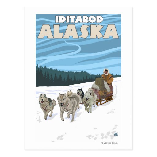 Scène Sledding de chien - Iditarod, Alaska Cartes Postales