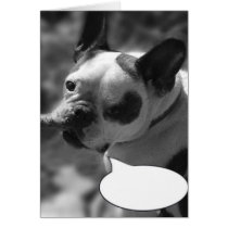 Schaffen Sie Ihren eigenen Titel, Bulldogge