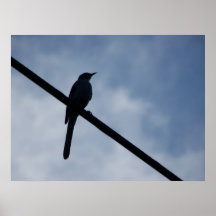 Schatten Posterdrucke