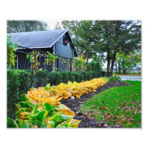 Scheune #9 Fasig Tipton Photos