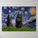 Schipperke 5 - Sternenklare Nacht Posterdruck