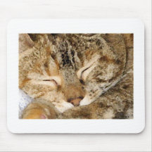 SchlafenMiezekatze Mousepad