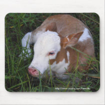 Schläfriges Babykalb mousepad mauspads