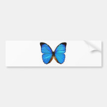 Schmetterling Autoaufkleber
