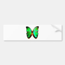 Schmetterling Autoaufkleber