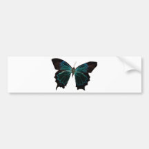 Schmetterling Autoaufkleber