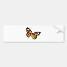 Schmetterling butterfly autosticker