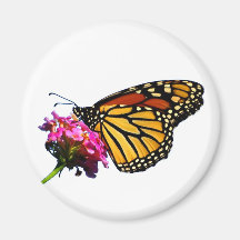 Schmetterling Chillin Magnete