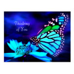Schmetterling im blauen Licht - denkend an Sie Pos