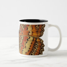 Schmetterling mit Flügelverbreitung Kaffee Haferl