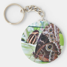 Schmetterlings-Schmetterling Schlüsselband