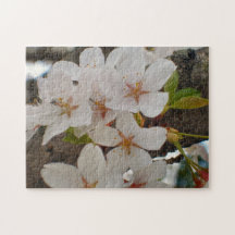 Schnee-Gans-dekorative japanische Kirsche Foto Puzzles
