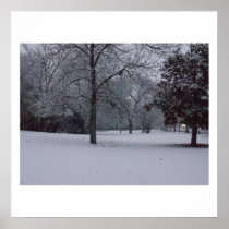 Schnee Scape