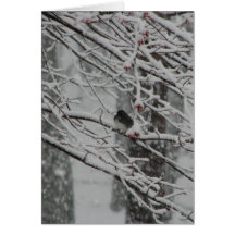 Schnee-Vogel Karte