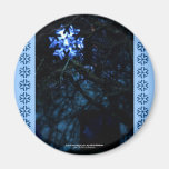 Schneeflocke im Blau Kühlschrankmagnet