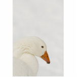 Schneegansmagnet Photofigur