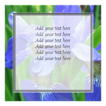schöne blaue Iris-Blumen Ankündigung