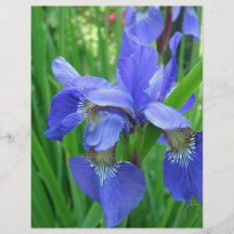 schöne blaue Iris-Blumen Flyer