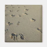 Schritte im Sand Magnets